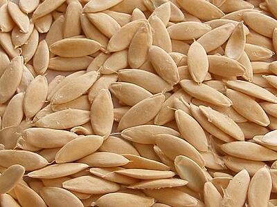 CUCUMBER SEEDS 