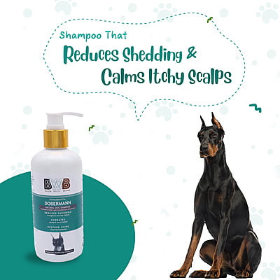 BWB DOBERMANN SHAMPOO