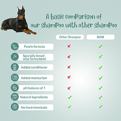 BWB DOBERMANN SHAMPOO