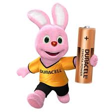 Duracel AA Chhota Power Duracel AA Chhota Power