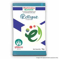 ECLIPSE 250 GM