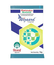 WIZAARD 600 GM