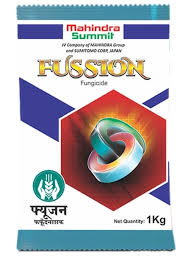 FUSSION 250 GM