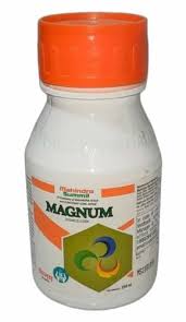MAGNUM 250 ML