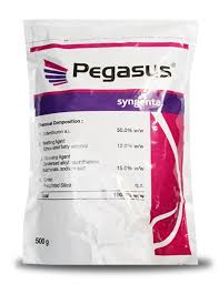 PEGASUS 500GM