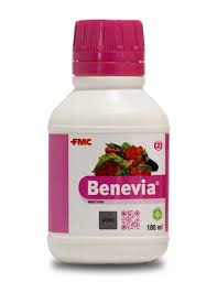 FMC Benevia Insecticide - 180 ml