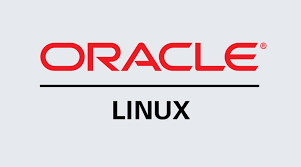 Oracle Linux Basic Subcription (1 year) ESD