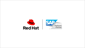 Redhat Enterprise Linux for SAP Premium (2 soc or 2vm) (1yr upd/sup) ESD