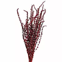 A bunch of natural dried Palak Grass, a preserved floral filler for dry flower bouquets. A bunch of natural dried Palak Grass, a preserved floral filler for dry flower bouquets.