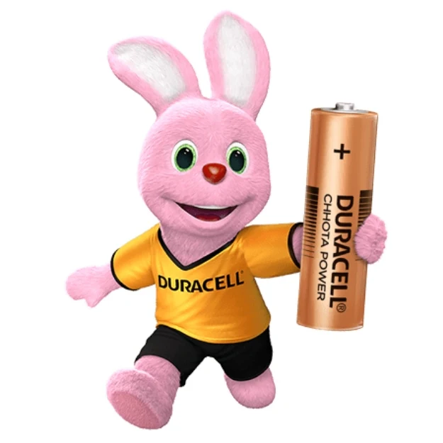Duracel AA Chhota Power