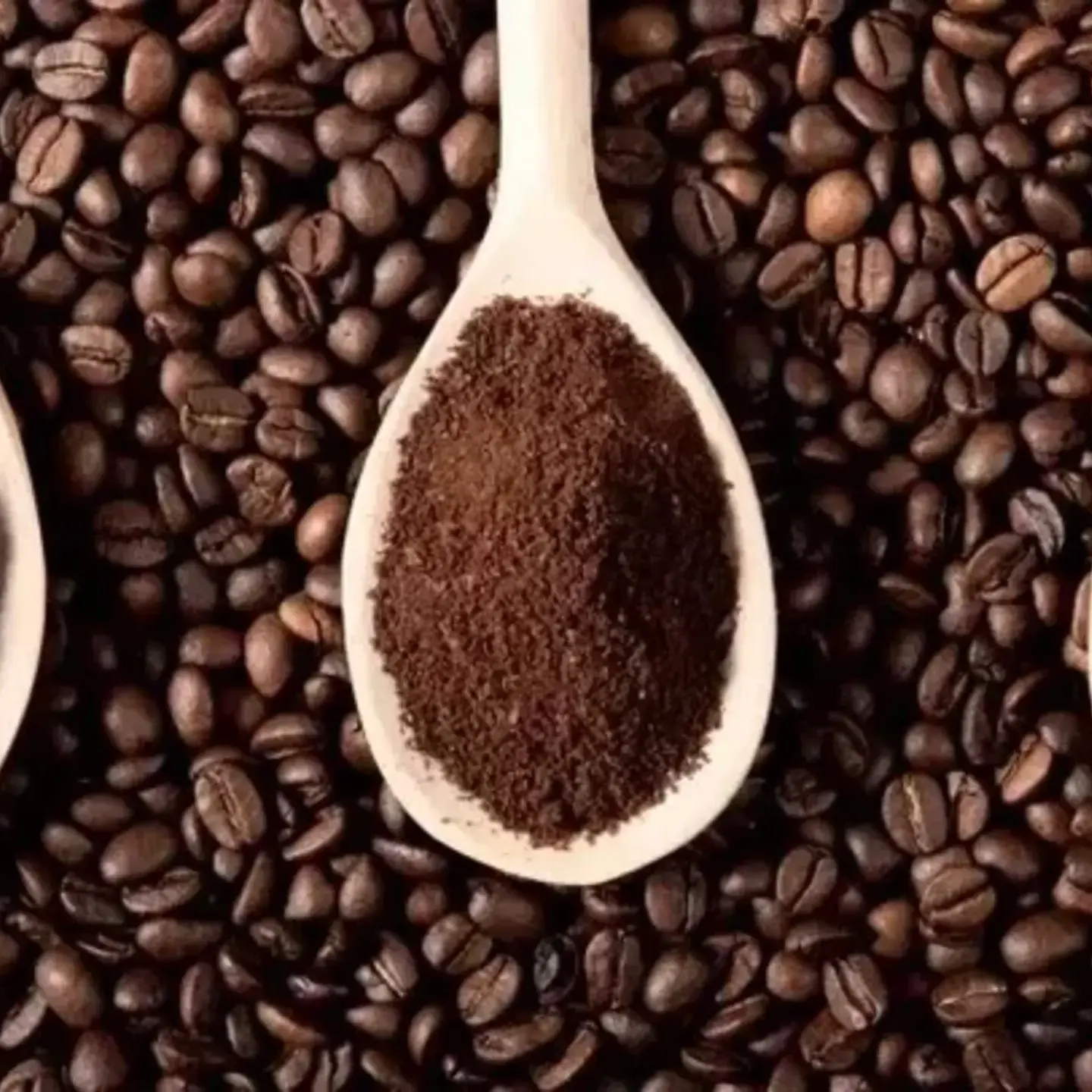 Pure Blend Coffee Powder