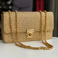 Party Wear Handbags for trendy Women
