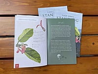 Last Ones Standing: Eleven threatened trees of the Western Ghats rainforests Last Ones Standing: Eleven threatened trees of the Western Ghats rainforests