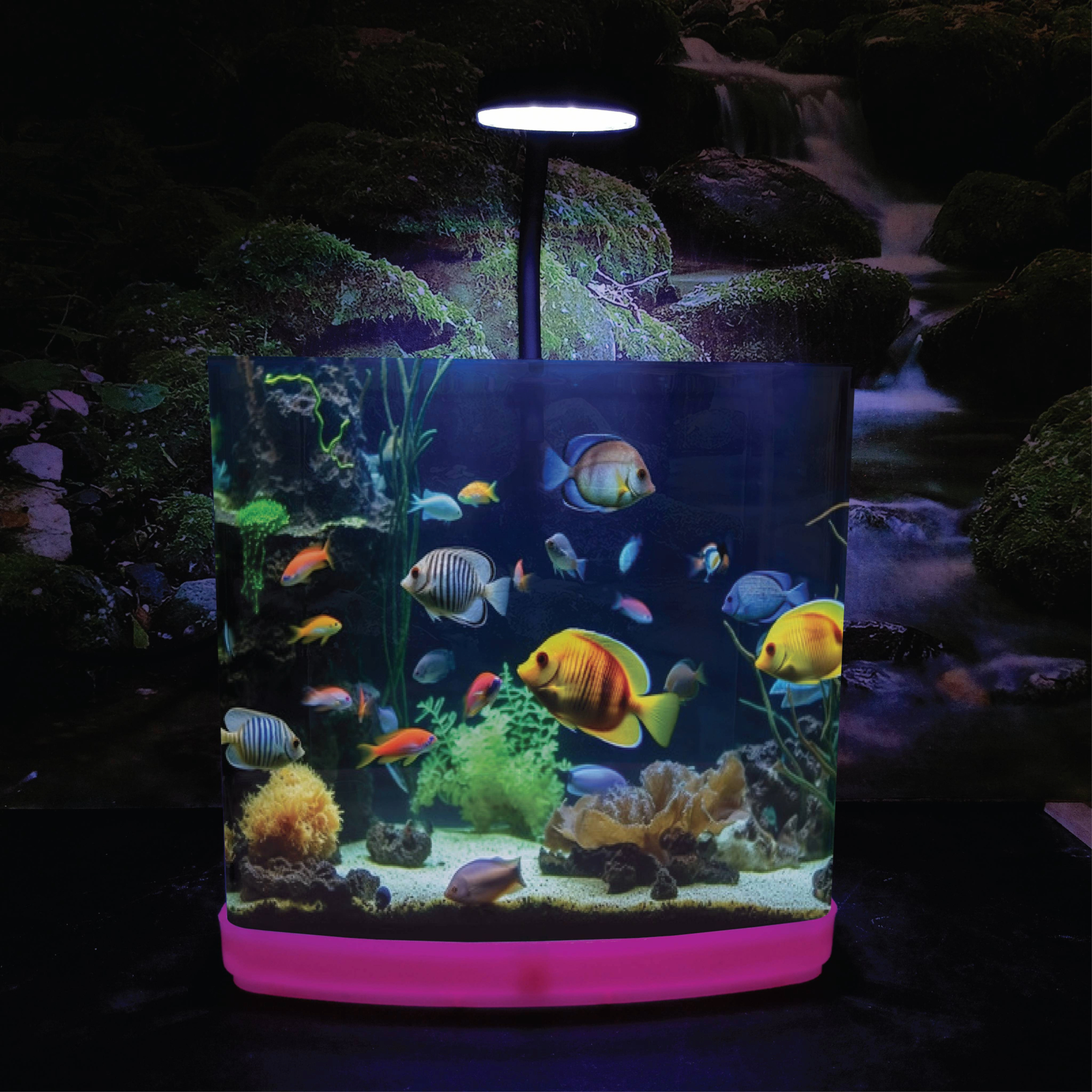 FlyExtreme Fish Tank With LED Light For Betta, Guppy, Gold Fish & Other Small Fish Variety