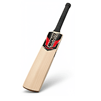 Premium Grade 1 Kashmiri Willow Cricket Bat – Adult Size | Leather Ball Pro Bat
