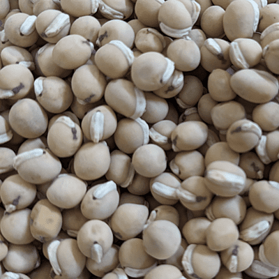 Organic Kanupu chikkudu Seeds 6 to 8 | Heirloom short beans Organic Kanupu chikkudu Seeds 6 to 8 | Heirloom short beans