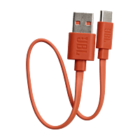 JBL Earbuds Accessories – Replacement Eartips & Charger Cable for JBL Earphones JBL Earbuds Accessories – Replacement Eartips & Charger Cable for JBL Earphones