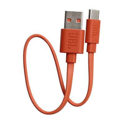 JBL Earbuds Accessories – Replacement Eartips & Charger Cable for JBL Earphones