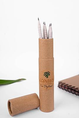 Recycled Newspaper Pencils Eco-Friendly Charcoal Pencil for Kids School | (Pack of 10) wood-free pencils