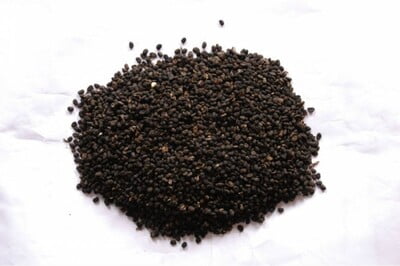 KARBOGA ARISI / BABCHI SEEDS POWDER