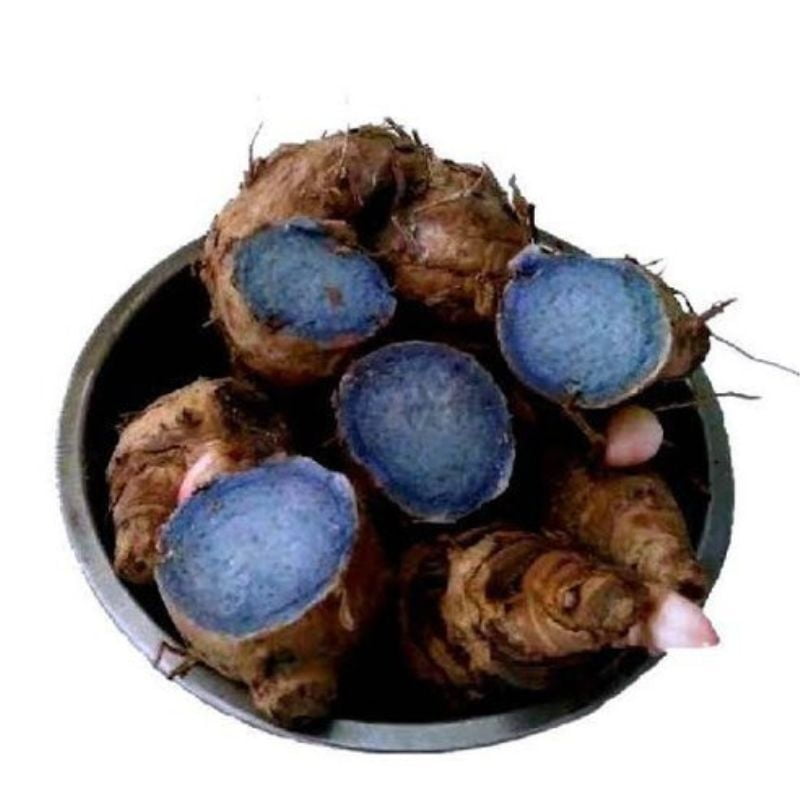 Karumanjal/Black Turmeric Karumanjal/Black Turmeric