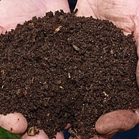 10kg High Quality Vermi compost