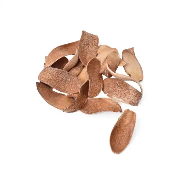 mahogany spoon natural botanical pod for potpourri, dry flower decor and fragrance mahogany spoon natural botanical pod for potpourri, dry flower decor and fragrance
