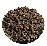 Marathi Moggu (Kapok Buds) Marathi Moggu (Kapok Buds)