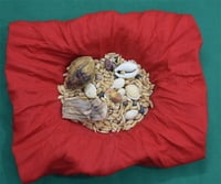 Navadhanya mootai Navadhanya mootai