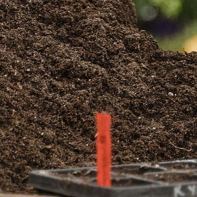 25kg High Quality Vermi compost 25kg High Quality Vermi compost