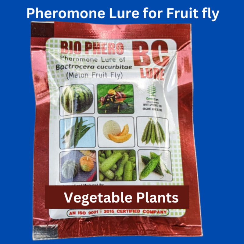 Pheromone Lure for Fruit Fly Pheromone Lure for Fruit Fly