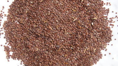 NEERMULLI VITHAI / MARSH BARBEL POWDER