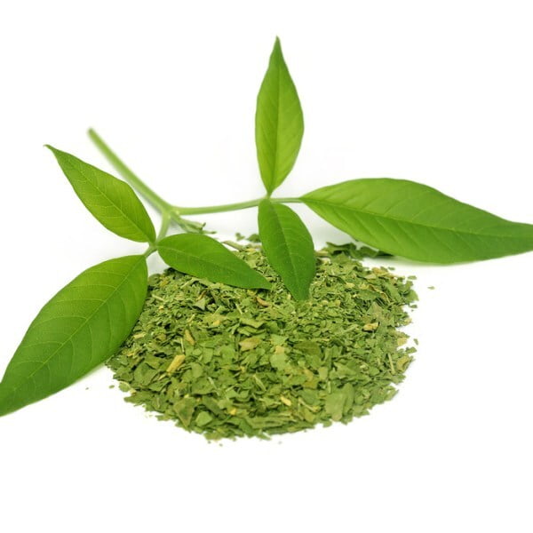 NOCHI ILAI / CHASTE LEAF POWDER