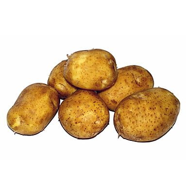 Ooty Potato