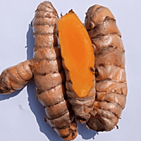 Ghargutee - Lakadong Turmeric Finger 20kg Pack Ghargutee - Lakadong Turmeric Finger 20kg Pack