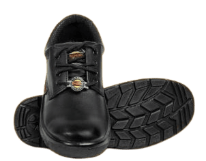 Big Horn BH11