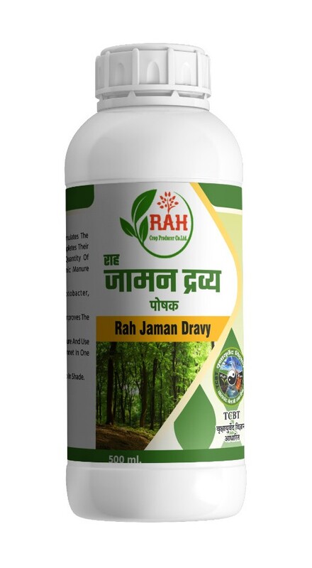 JAMAN DRAVY JAMAN DRAVY