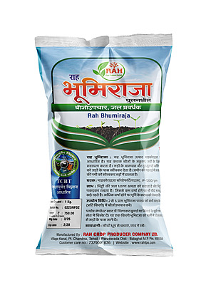 BHUMIRAJA GHULANSHEEL