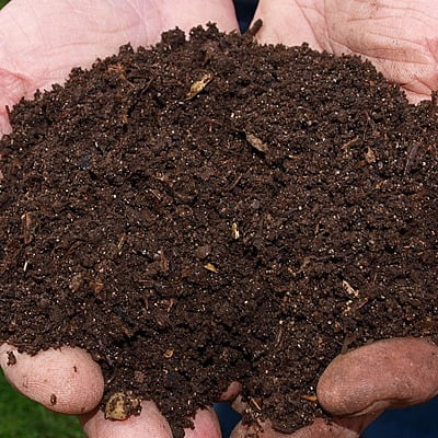 25kg High Quality Vermi compost 25kg High Quality Vermi compost