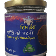Papaya Chutney