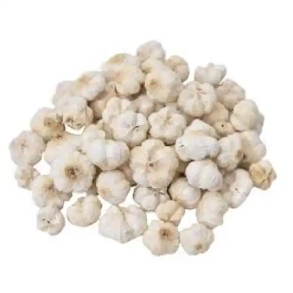 natural dried paras pod for potpourri, aroma decor and dry flower gift box fillers natural dried paras pod for potpourri, aroma decor and dry flower gift box fillers