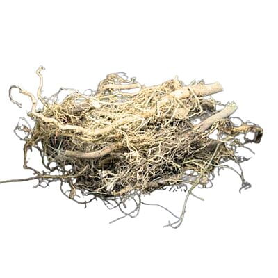 Peramutti Root Peramutti Root