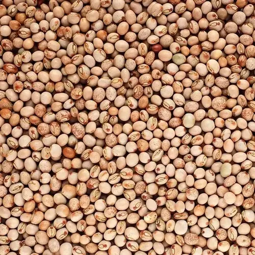 Whole Toor - Pigeon pea