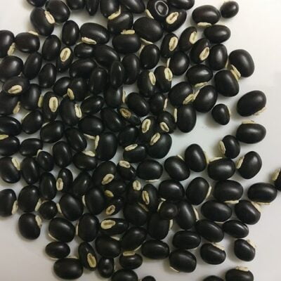 POONAIKALI VITHAI / VELVET BEAN SEED POWDER