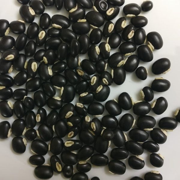 POONAIKALI VITHAI / VELVET BEAN SEED POWDER