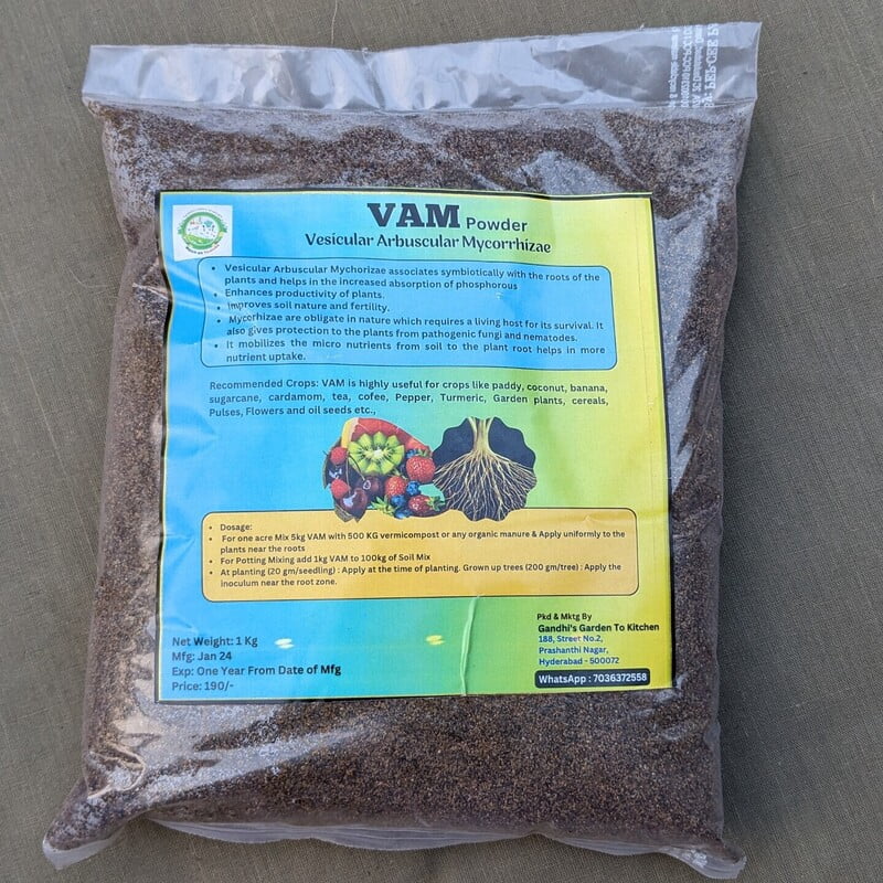 1Kg VAM (Vesicular Arbuscular Mycorrhiza) Root Growth Booster & Essential Fertilizer for all Plants | Soil Enhancer 1Kg VAM (Vesicular Arbuscular Mycorrhiza) Root Growth Booster & Essential Fertilizer for all Plants | Soil Enhancer