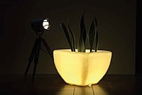 LED Quad - XL