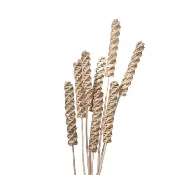 Natural rattan twist stick from dried lata vine for floral decor and rustic crafts by LeafnDeor Natural rattan twist stick from dried lata vine for floral decor and rustic crafts by LeafnDeor