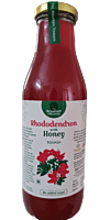 Rhododendron with Honey Squash