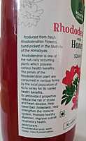 Rhododendron with Honey Squash